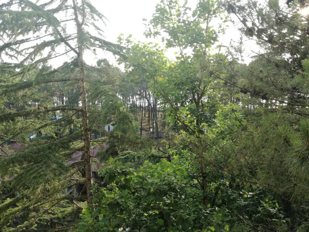 Studio Apartment With Great View 우레키 외부 사진